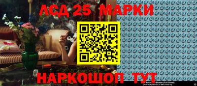 2c-b Кингисепп