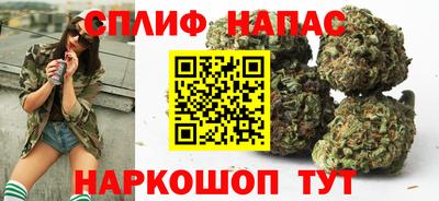2c-b Кингисепп
