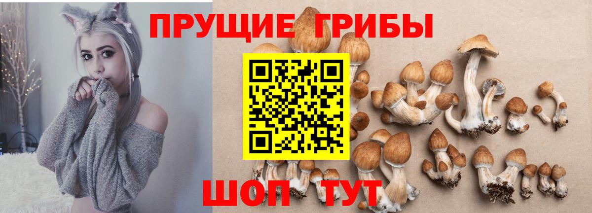 Псилоцибиновые грибы мухоморы Каспийск